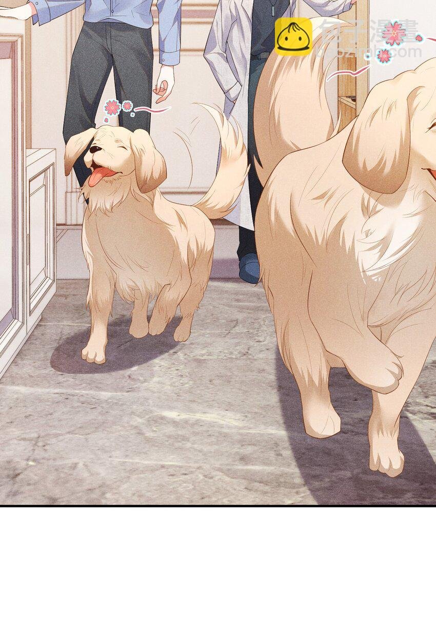 003 我帮你戴？