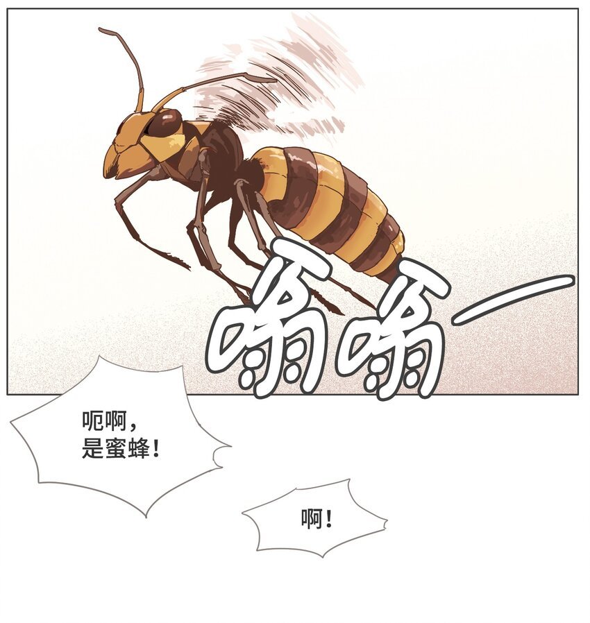 17 各自的开始3
