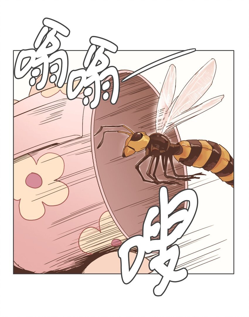 17 各自的开始3