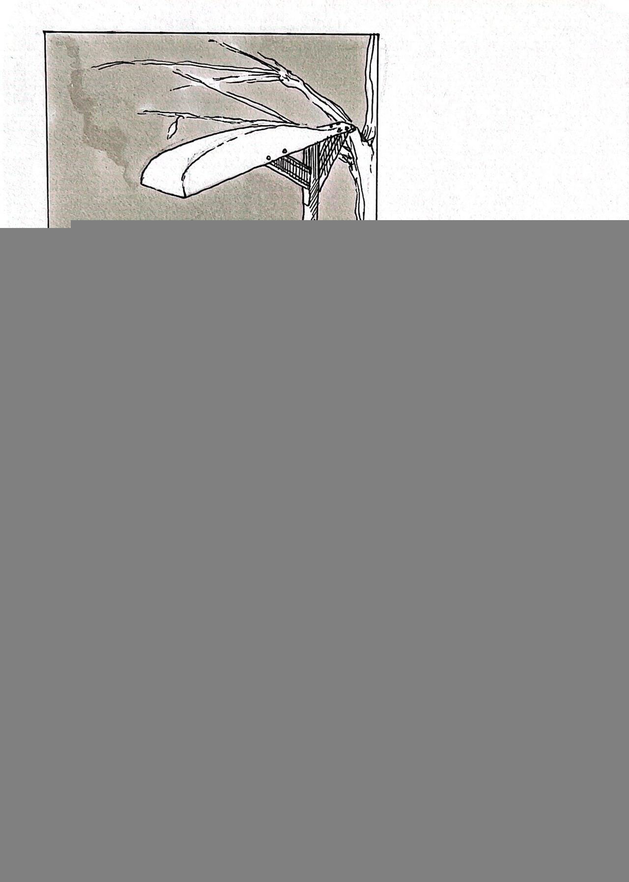 2 黑色的光芒