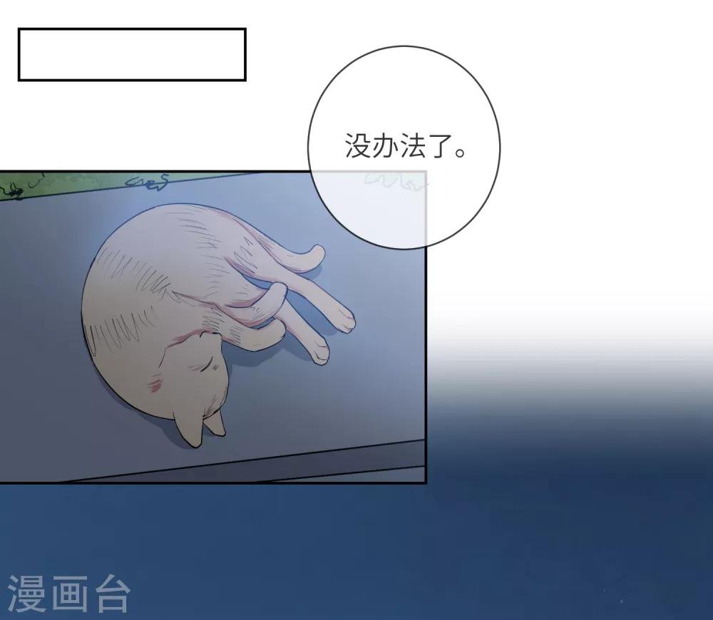 第17话 亲上了？！