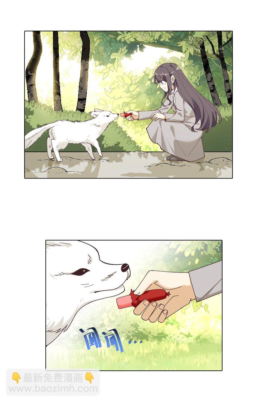 第十三话 当天晚上做了个梦