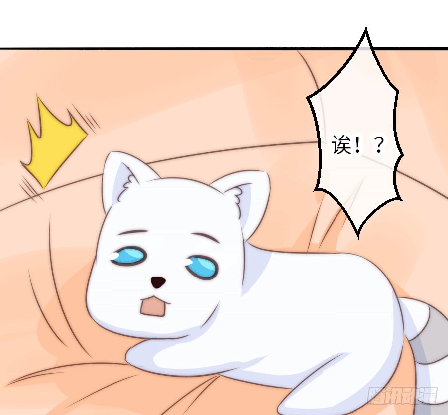洗澡澡咯~