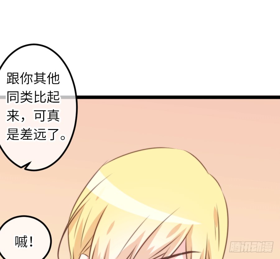 激情四射~
