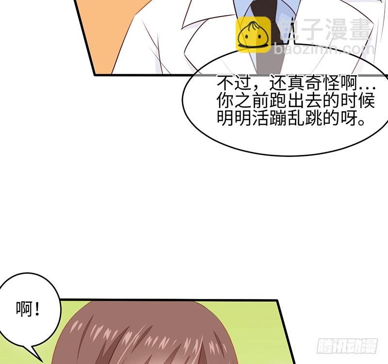 晚上我们去夜袭吧~