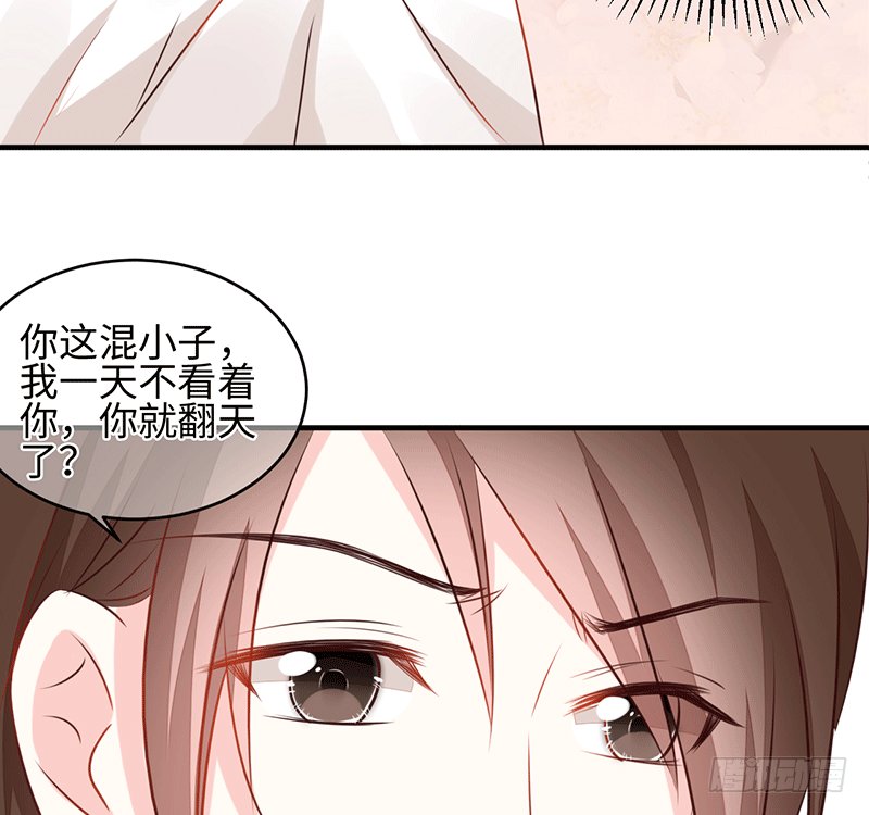 晚上我们去夜袭吧~