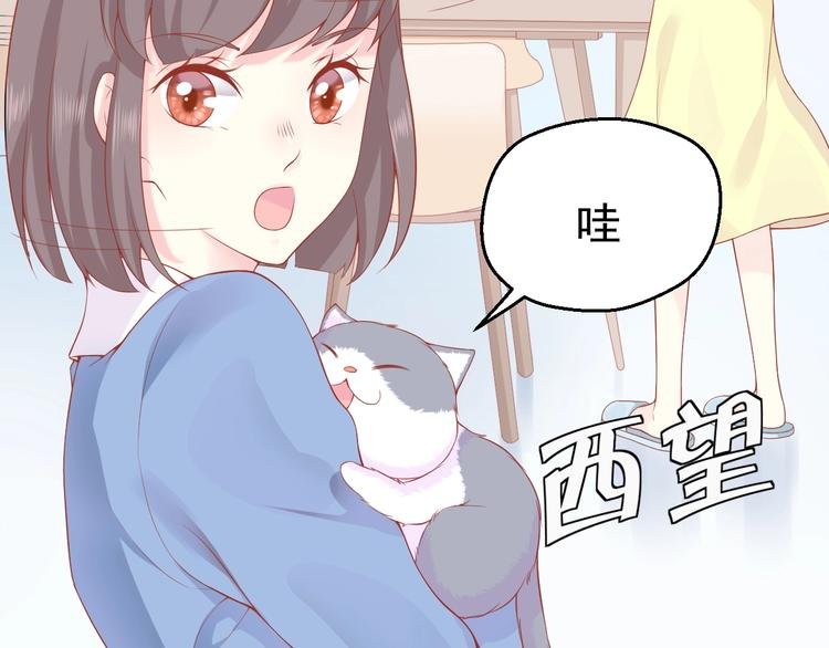 第3话 修爱情学分