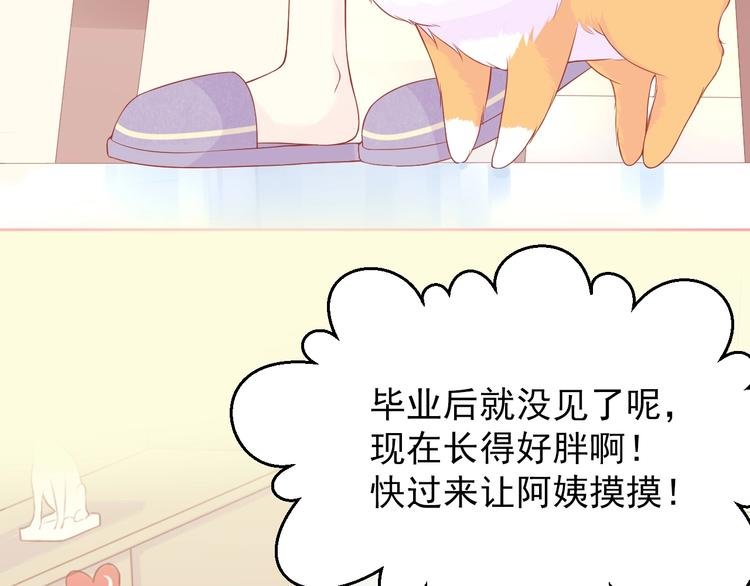 第3话 修爱情学分