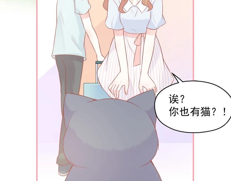 第15话 全能男友