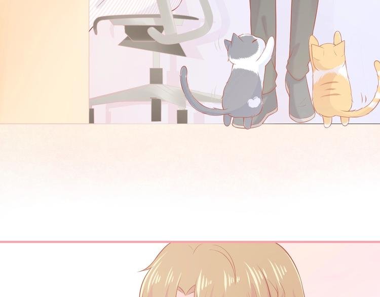 第15话 全能男友