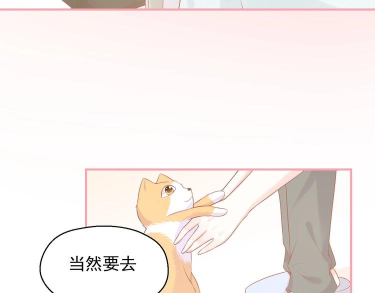 第15话 全能男友