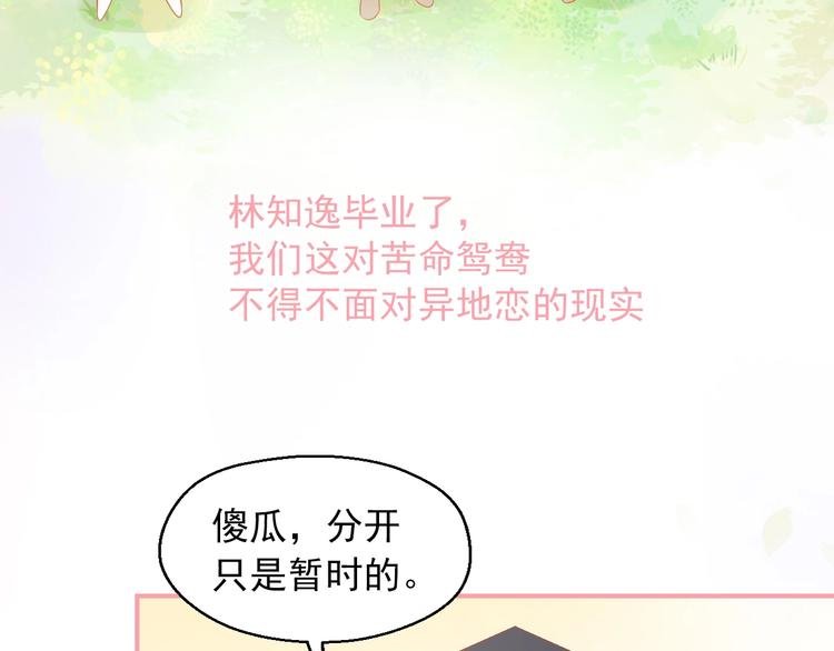 第12话 离别季