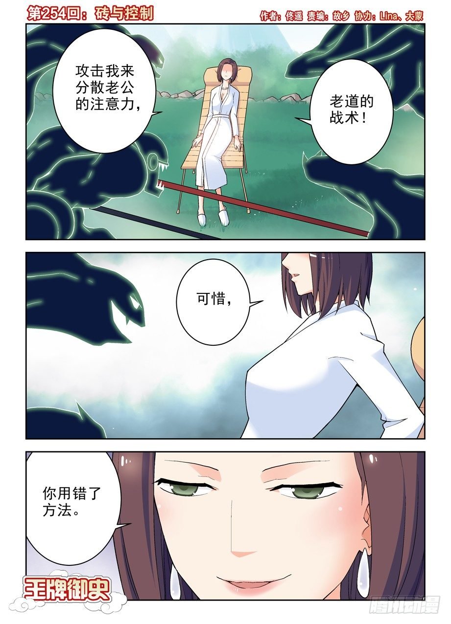 254,砖与控制