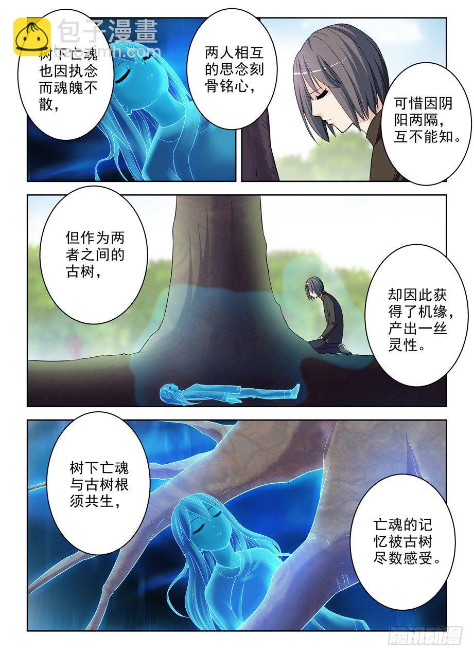 285，银杏果