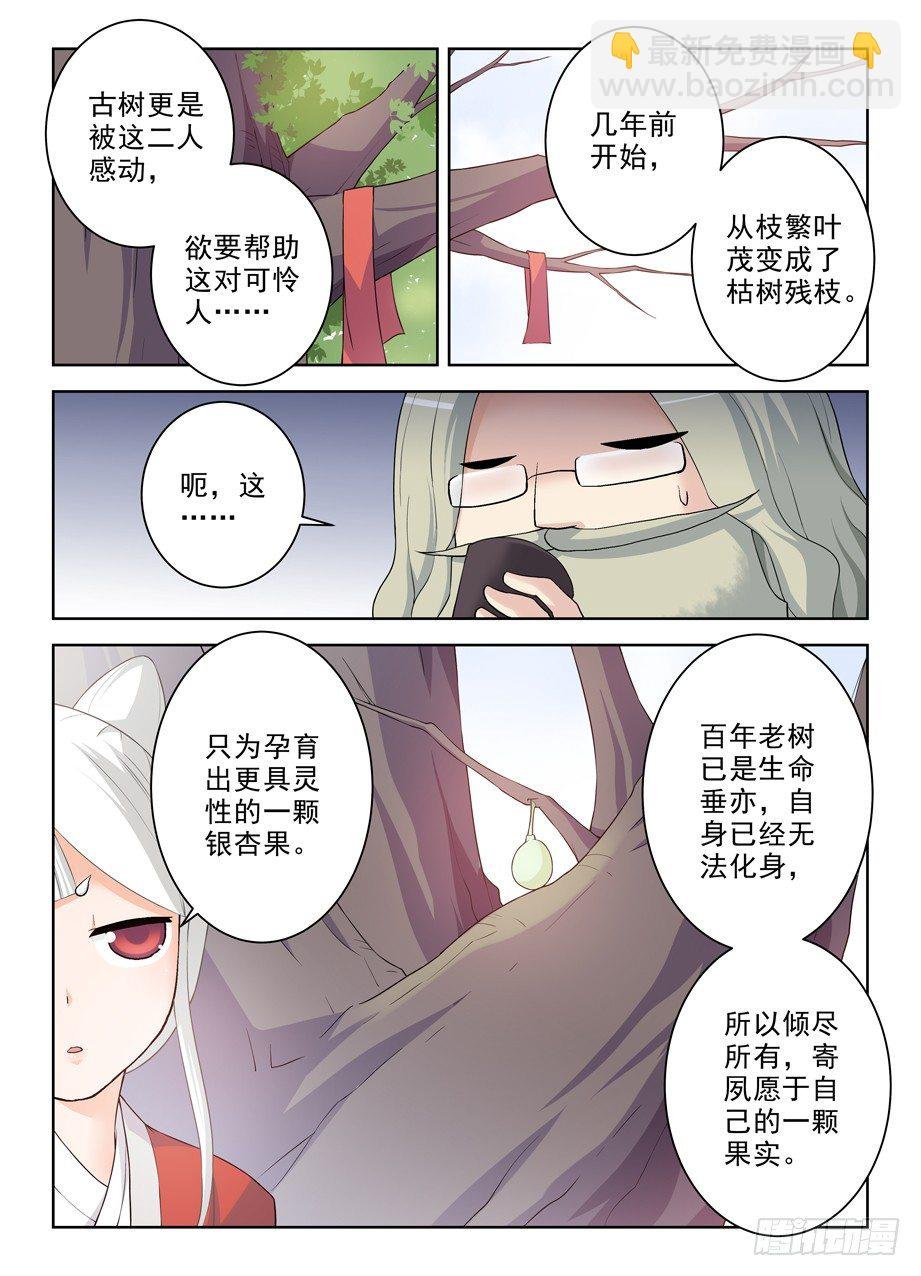 285，银杏果