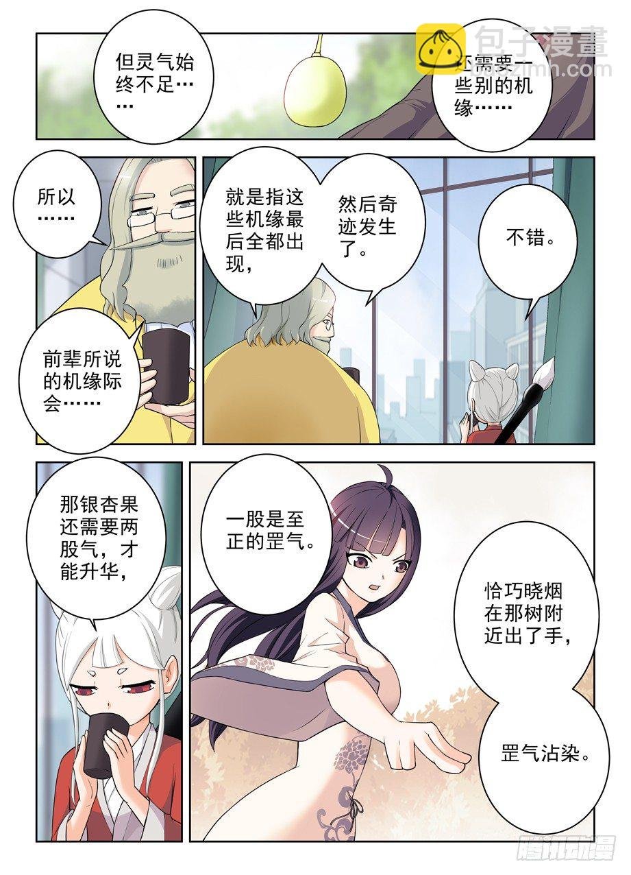 285，银杏果