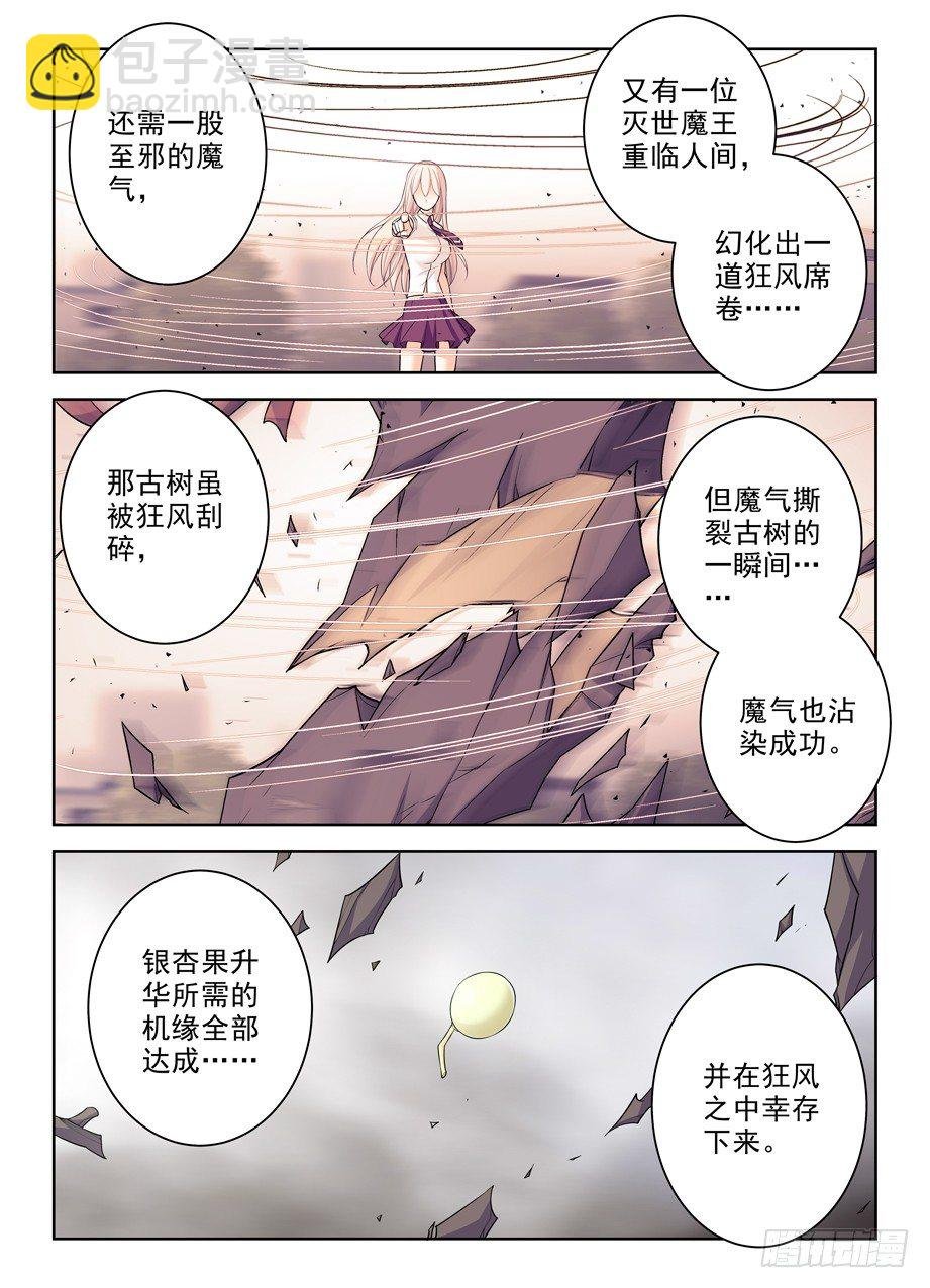 285，银杏果
