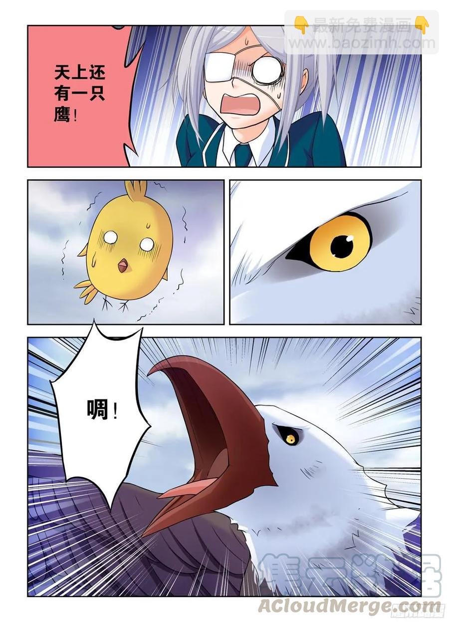 378，原来你是这样的鸡鸡