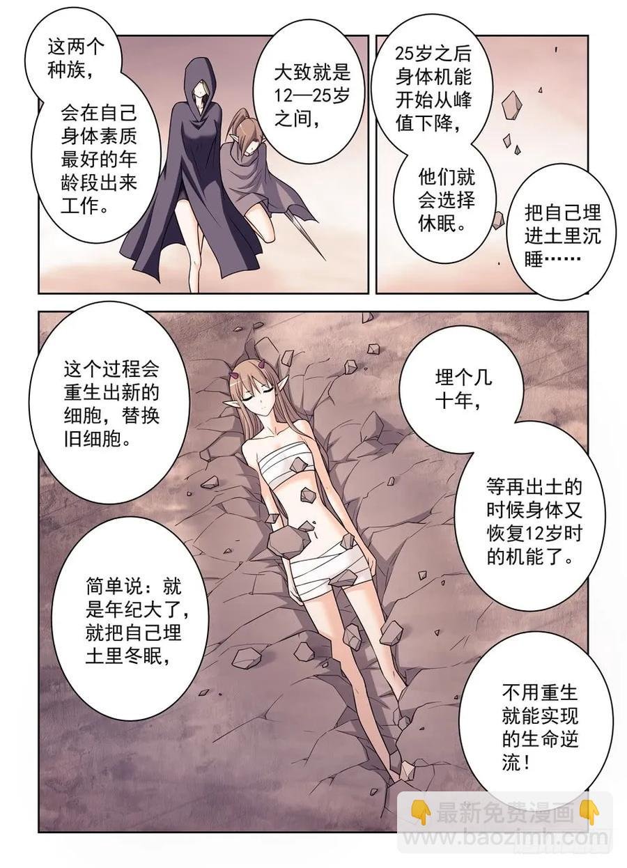 390，祸世姬