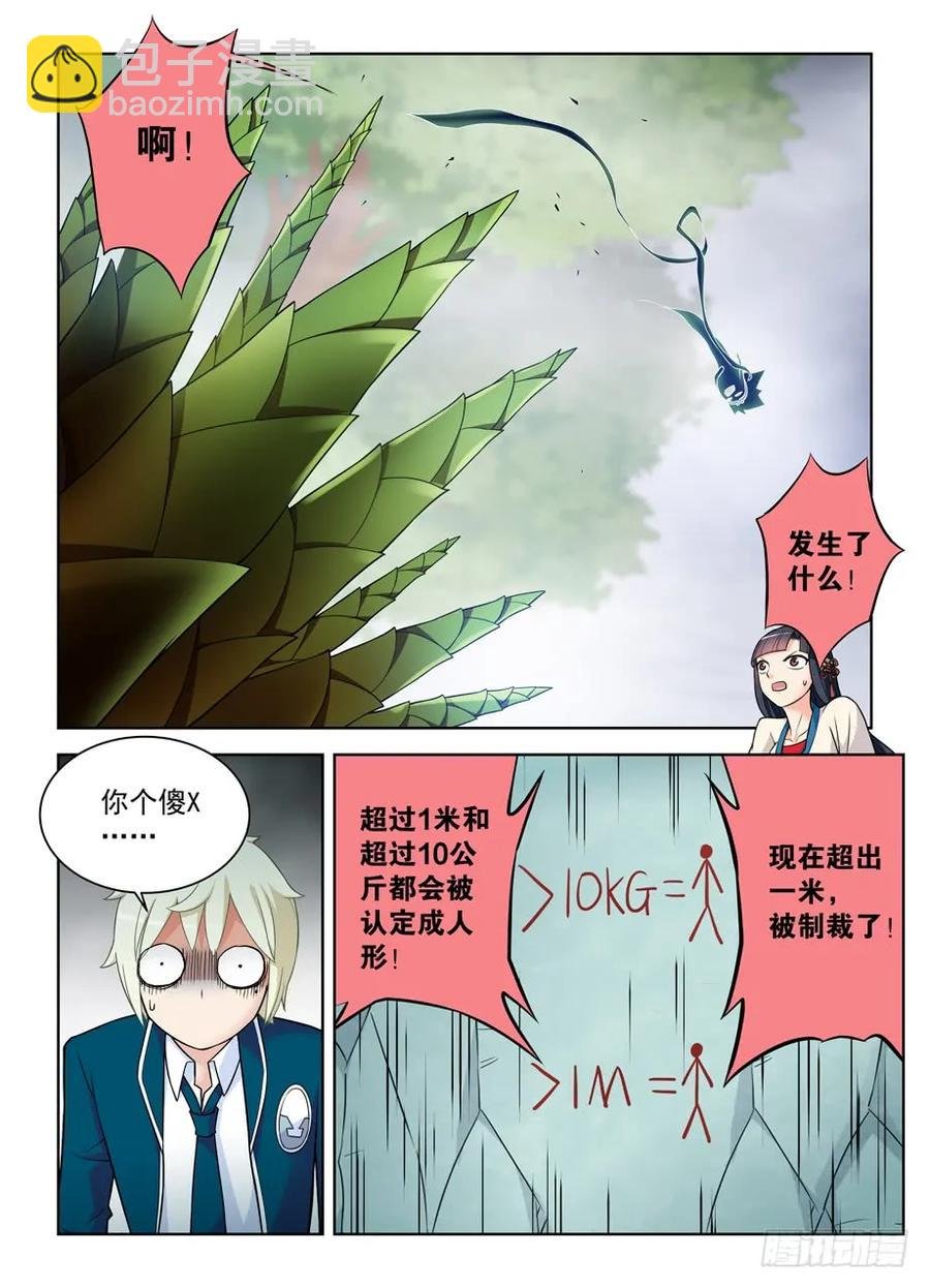 411，世姬终结者（下）