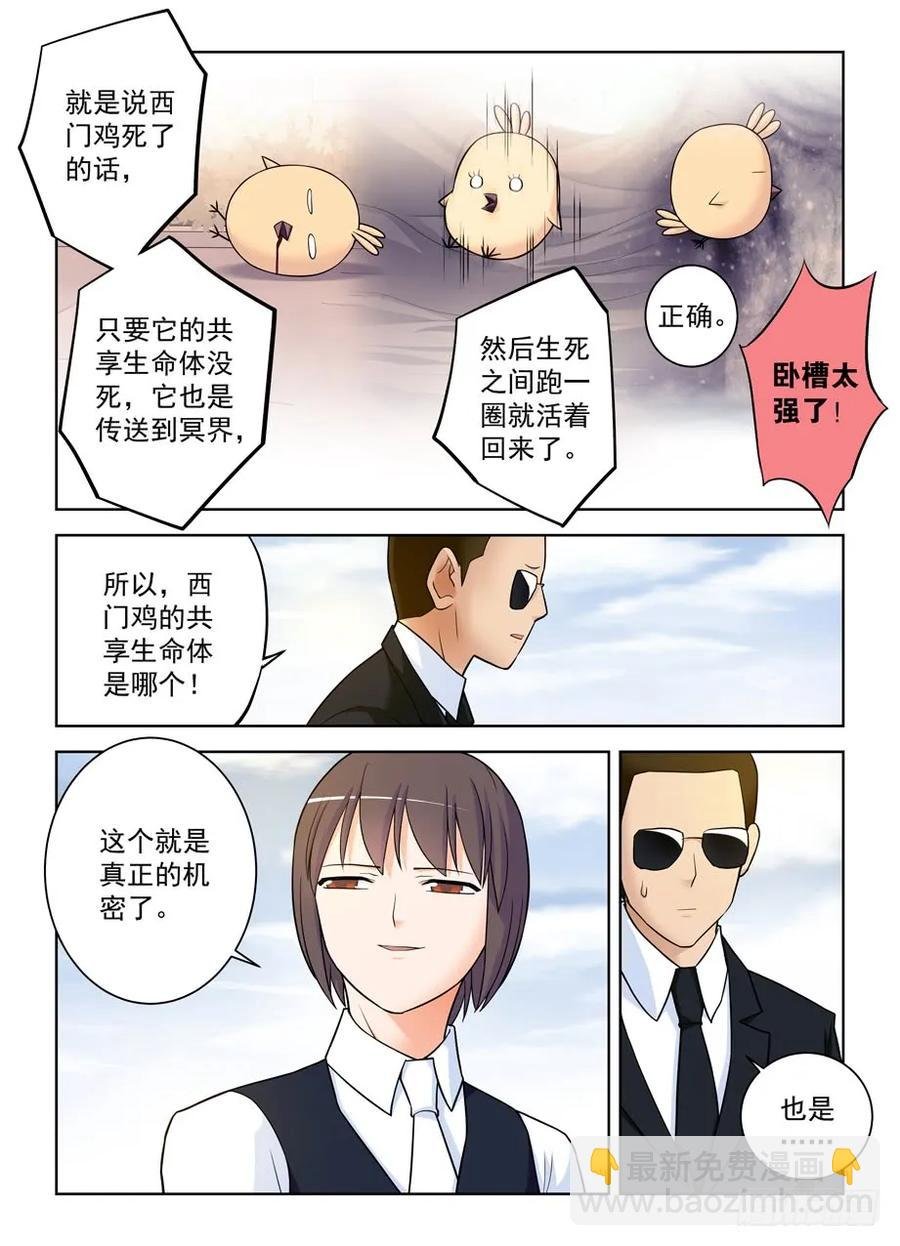 416,因为它是西门鸡