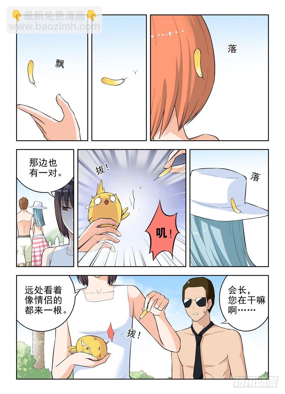 58,小鸡中的战斗机