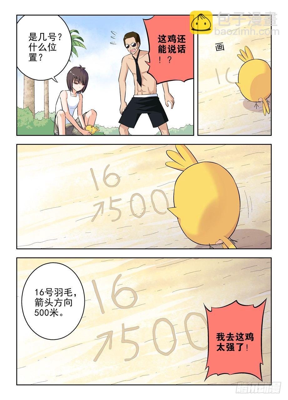 58,小鸡中的战斗机