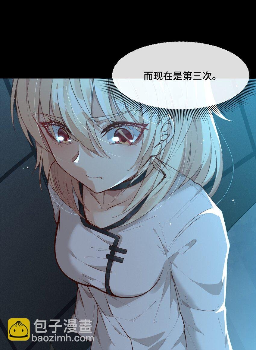 11 好奇的猫