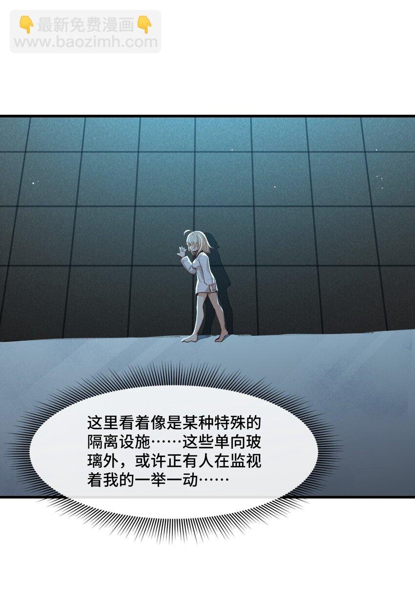 11 好奇的猫