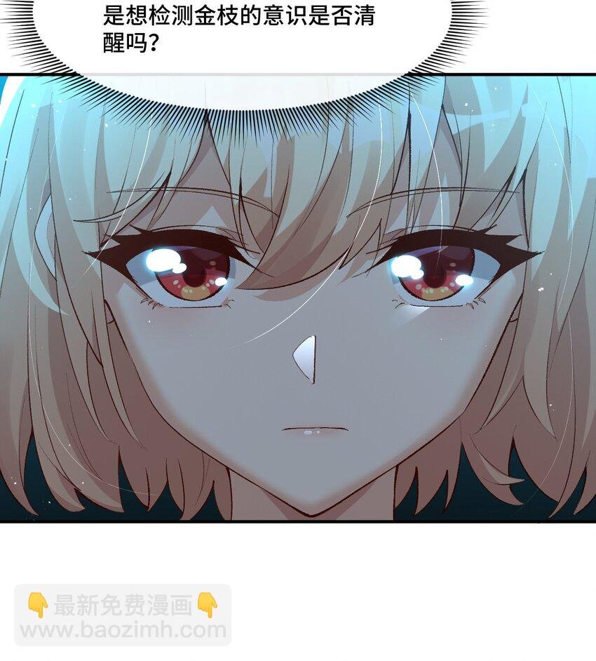 11 好奇的猫