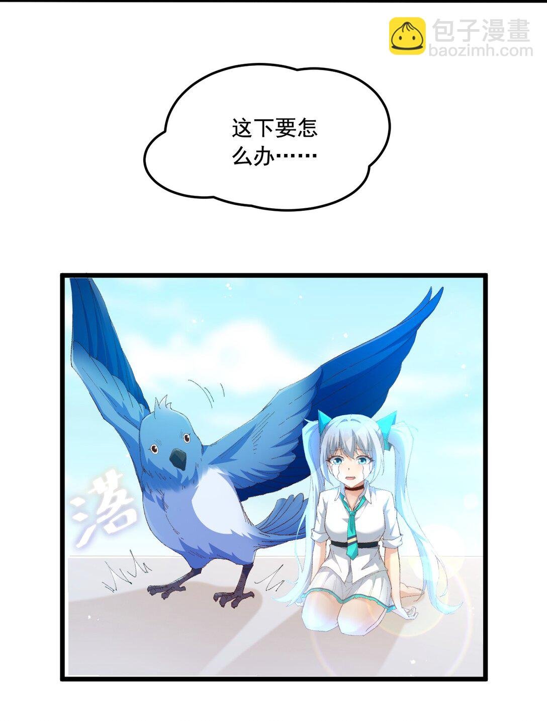 13 不愧是家里的第五只猫