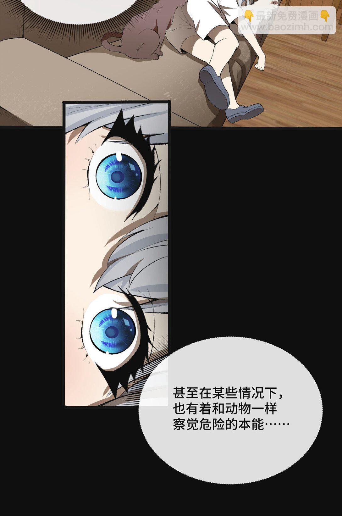 13 不愧是家里的第五只猫