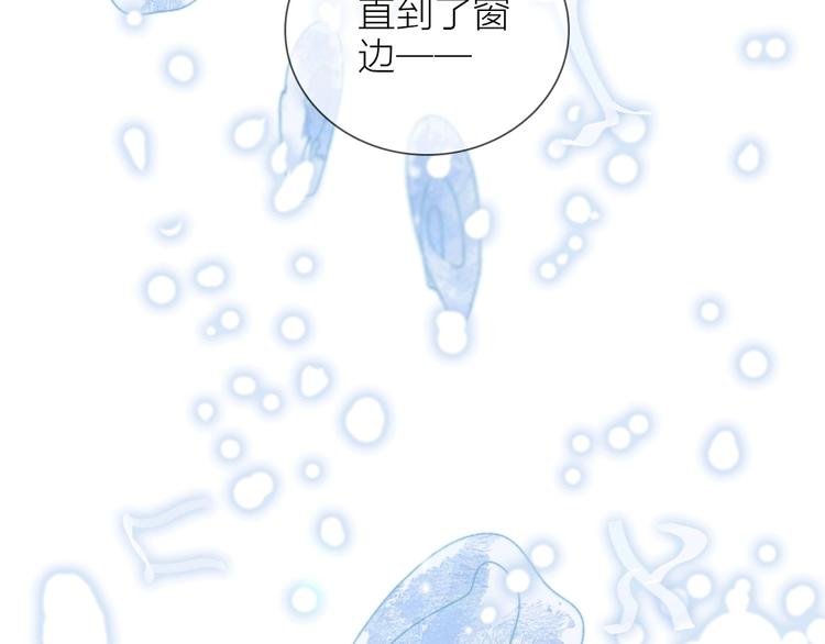 第21话 我觉得它很美