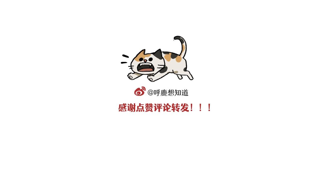 第12话 龙小天受伤记