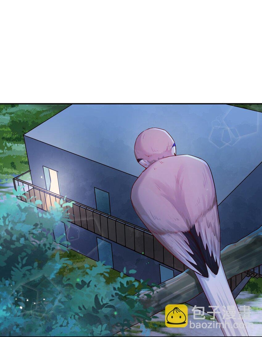 第41话 来者不善
