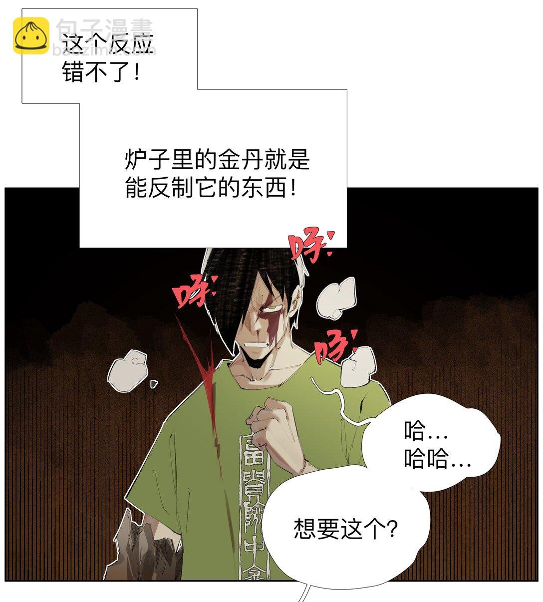 12 金丹