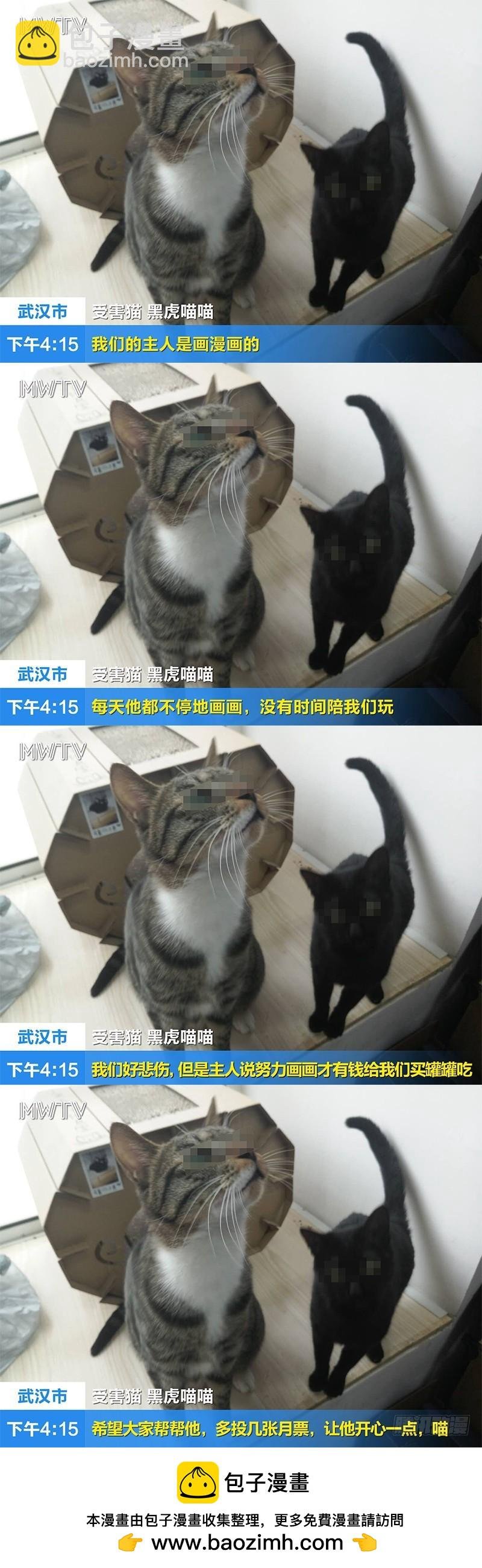 第十一话 风起（5）