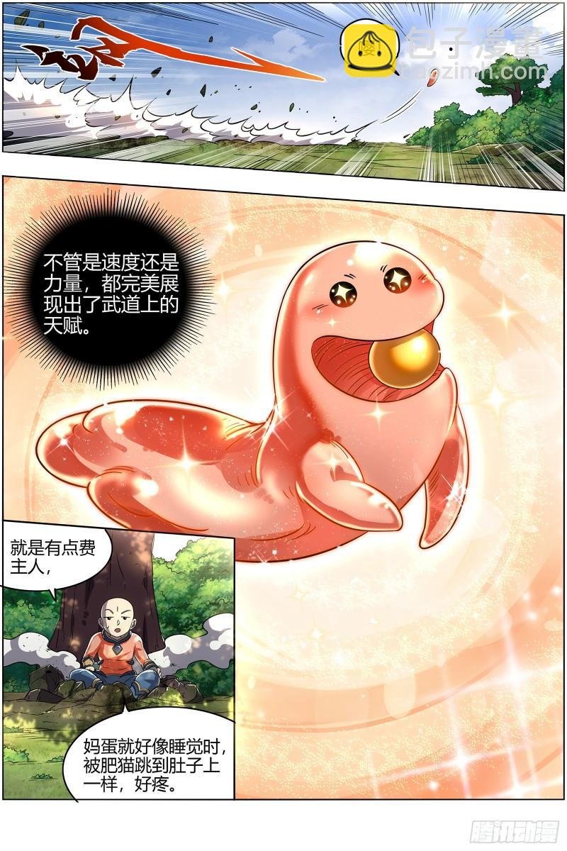 29大明王 生崽子了