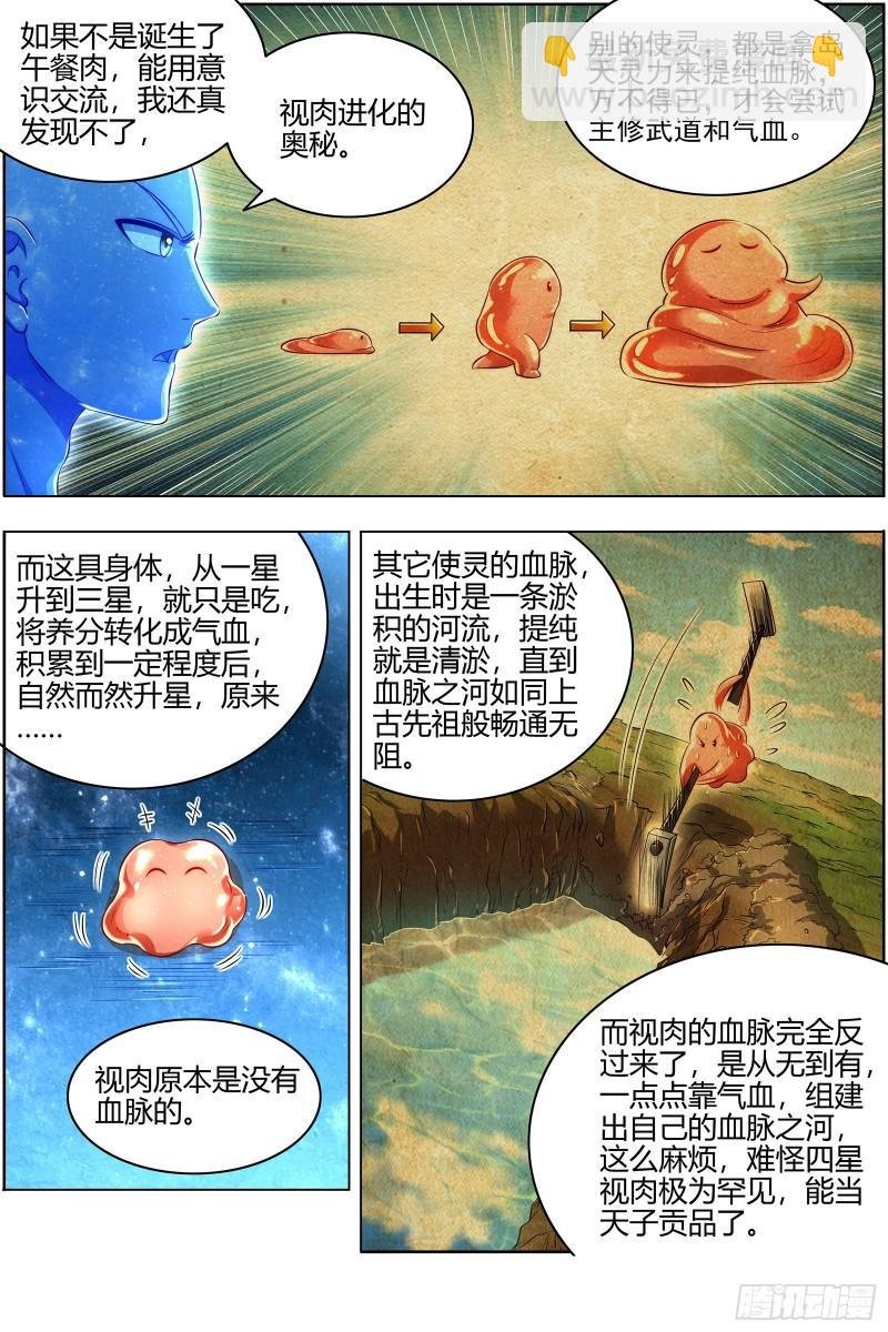 29大明王 进化之秘