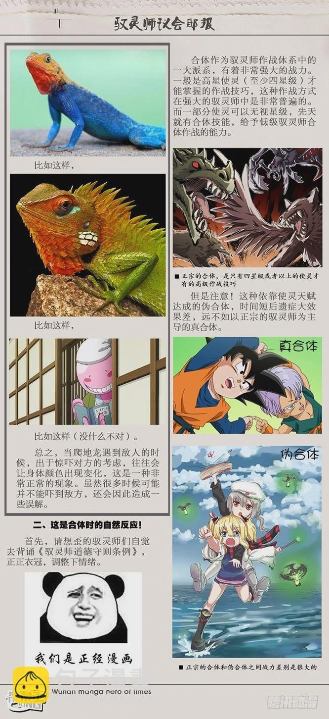 【番外】新手驭灵师入门手册