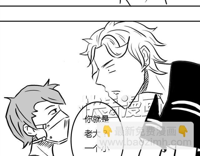 第15话 老大的能力