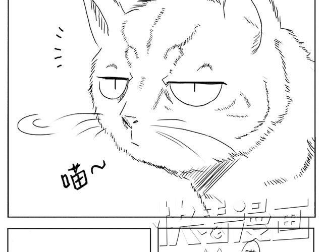 第1话 有东西飞过来了！