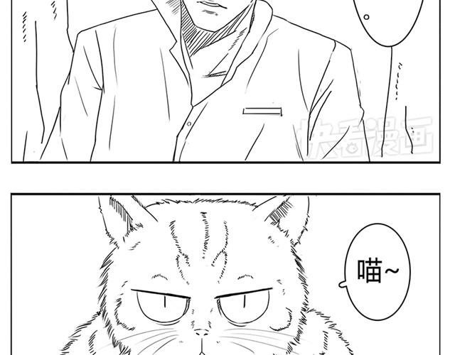 第1话 有东西飞过来了！