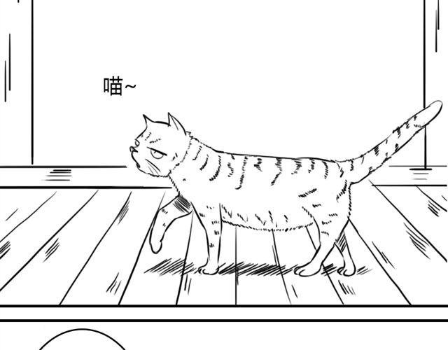 第11话.竟然是摩尔