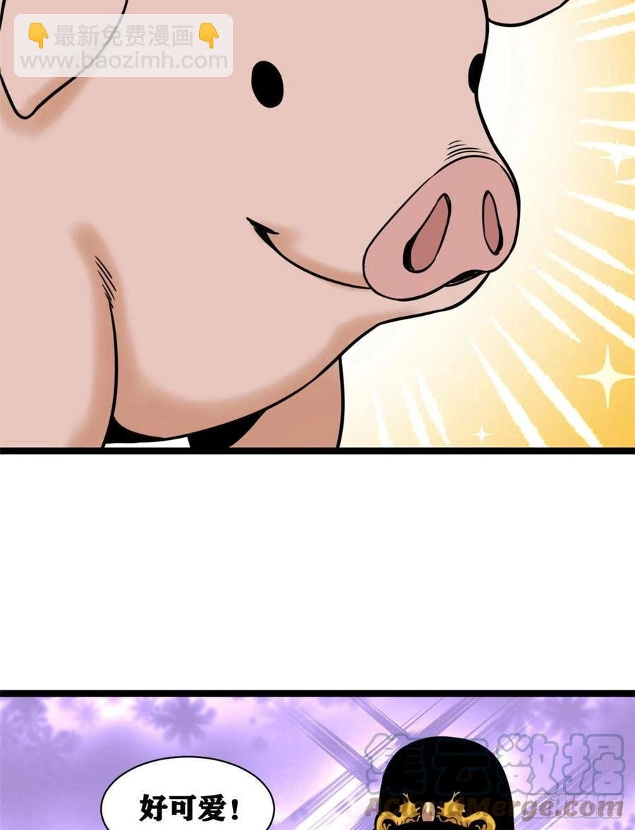 135 改良猪肉品质