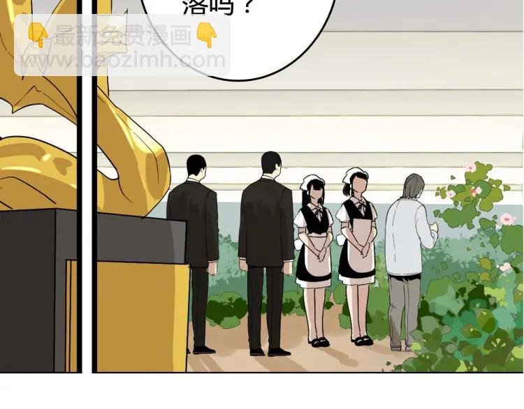 整容第二季回归！