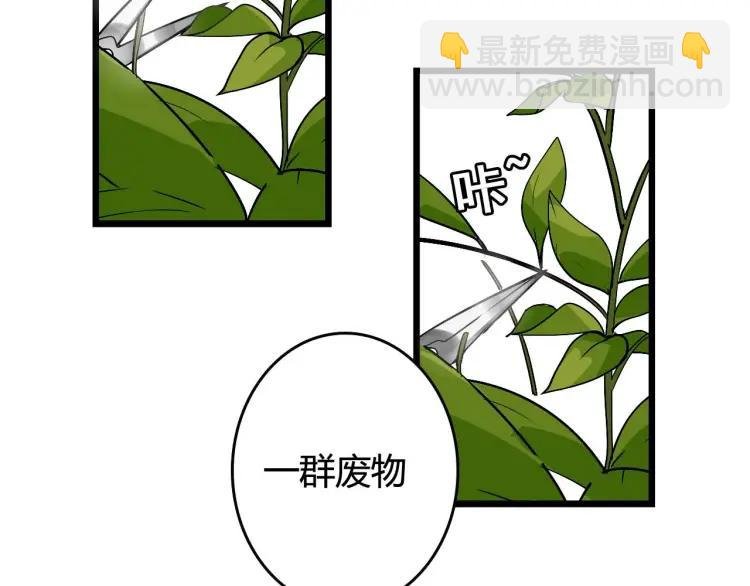 整容第二季回归！