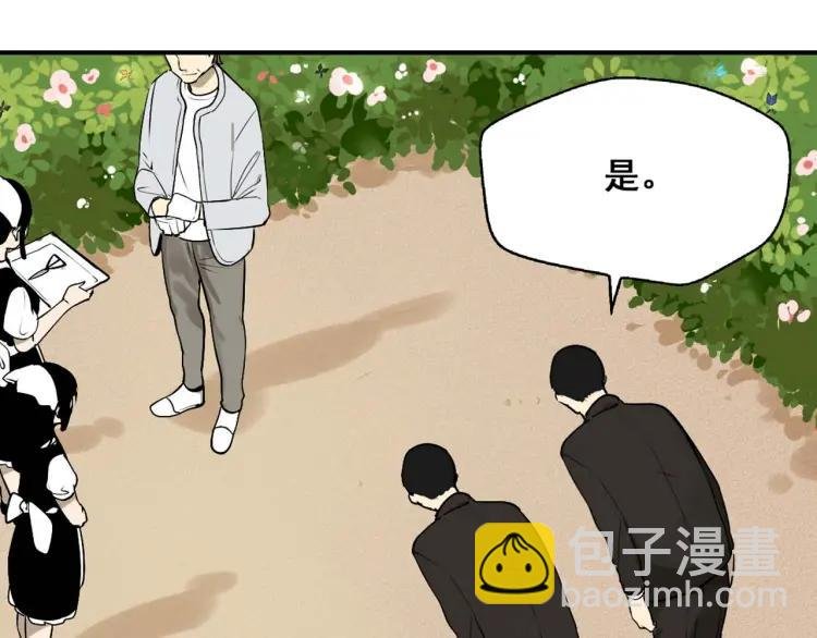 整容第二季回归！