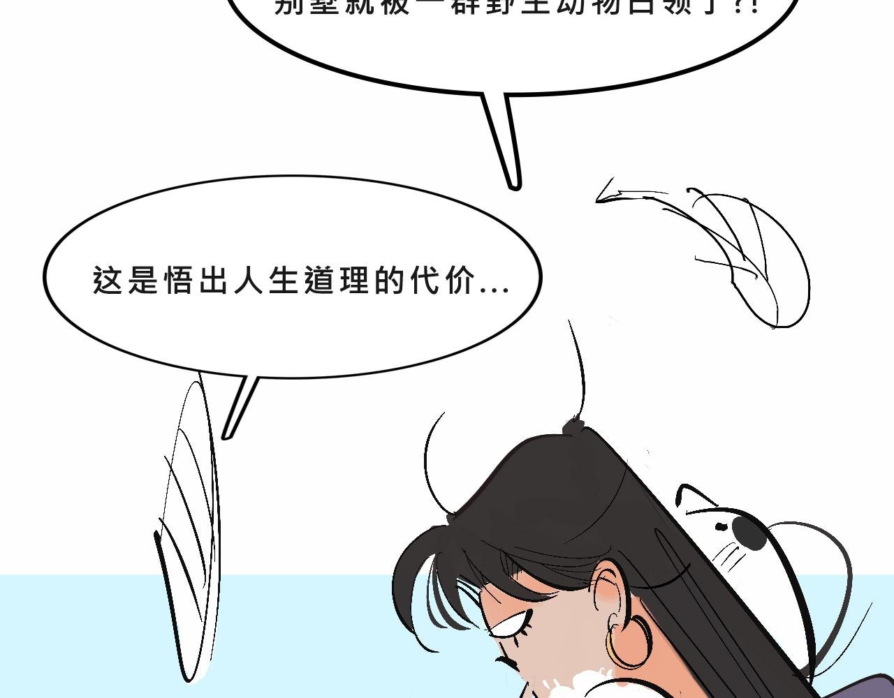 她们的自信无人可挡