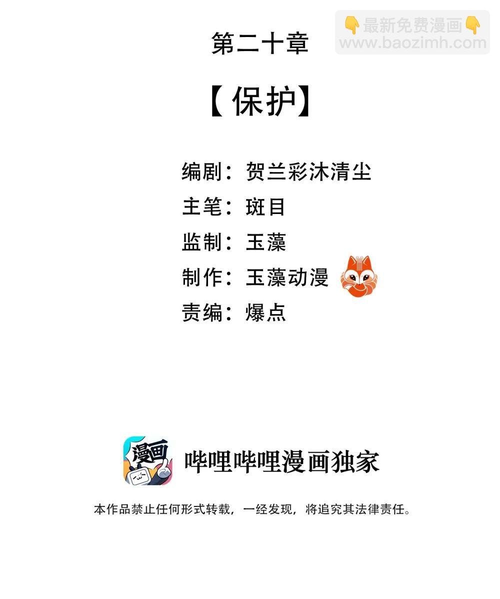 20 保护